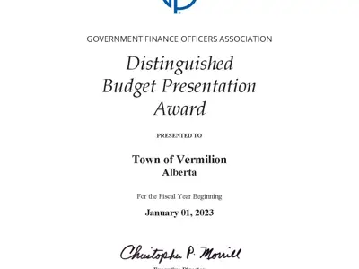 Budget Award