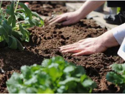 Community Garden