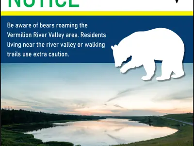 Bear Alert